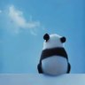 圆爸加拿大's profile picture