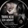 Profilbild von Rah_me_li