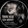 Çiğdem’in Patileri's profile picture
