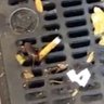 sandy bullz's profile picture