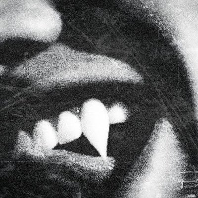 dojacontentt's profile picture