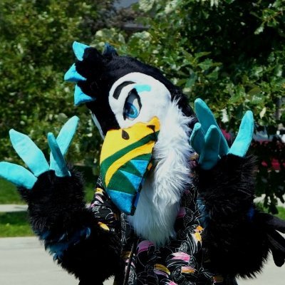 FerrisTheToucan's profile picture