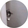 Profilbild von Radr443
