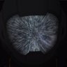 Gabriel ๐ง's profile picture