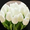 🤍نوف🤍's profile picture