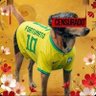 Profilbild von Fortunato CARAMELO 🇲🇫