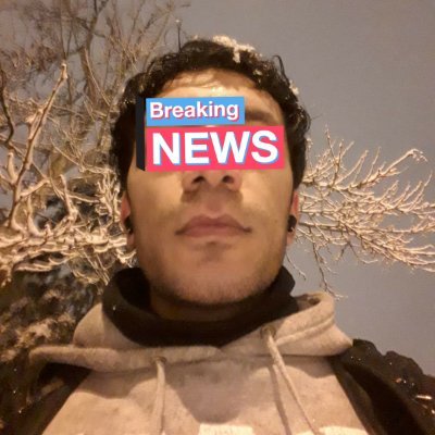siktire şayan's profile picture