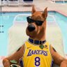 Scooby-Doo Laker 的头像