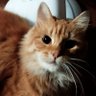 Profilbild von franco