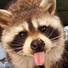 whoismillie's profile picture