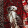 Ot profil fotoğrafı