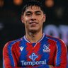 palace merchant's profile picture