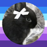 Midnight (irl bunny) ૮₍ ´ ꒳ `₎ა 的头像