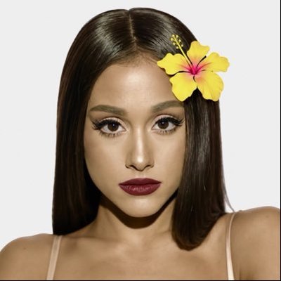 isabelle siririqueira ꕤ's profile picture