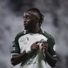 Profilbild von محمد 💚🤍