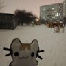 Piuu's profile picture