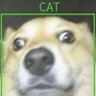 Afterglow's profile picture