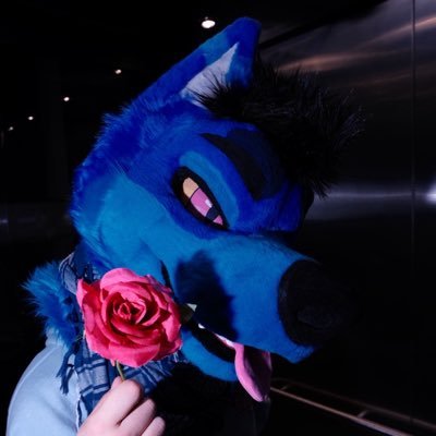 iShowWuff's profile picture