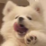岡山の派遣の人's profile picture