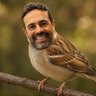 Vitor profil fotoğrafı