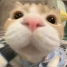 フジカワ ツカサ's profile picture