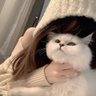みずき's profile picture