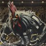 Profilbild von Menin é só caô / Galo Duro