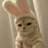 YukiKyoパパ profil fotoğrafı
