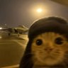 Profilbild von みつお