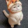 Profilbild von カタカナ50代ゲーマー