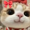 沖縄のパンと朱印 的头像