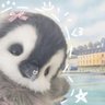 田島 康人's profile picture