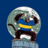 FIEL BOSTERO💙💛💙's profile picture