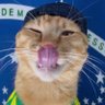 AS's profile picture