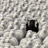 Profilbild von Oppositional Defiant