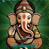 Фото профиля Dr anand vardhan