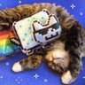Profilbild von dominic