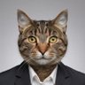 TengKuching 🐱 😸 👟🦦🤜🤛 profil fotoğrafı