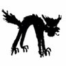 Profilbild von NotDCx