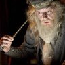Фото профиля Profesör Dumbledore