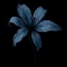 Rofida.'s profile picture