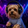 Profilbild von Tringford Terrier