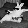 Profilbild von MERIT