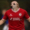 Sir Woofage MBE 🇨🇭 profil fotoğrafı