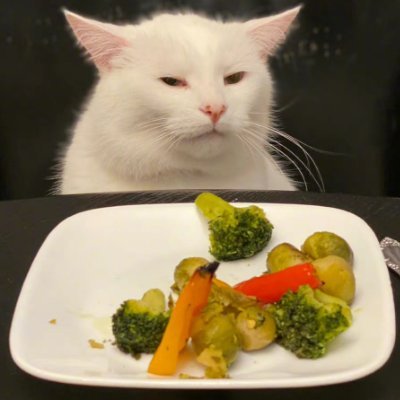 Oyster0712's profile picture