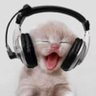 Phatbasskitty profil fotoğrafı