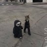Фото профиля 𝐾