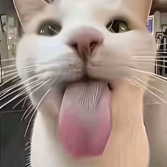 iooxxlc's profile picture