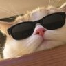 Profilbild von jesi