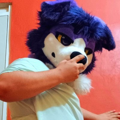 Sir Bernรกn Doggoโจ๏ธ's profile picture